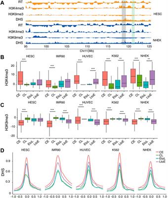 Genome architecture plasticity underlies DNA replication timing dynamics in cell differentiation